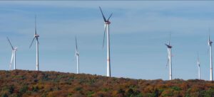 Read more about the article Der NABU Wangen nimmt kritisch zum Ausbau der Windenergie in der Region Stellung