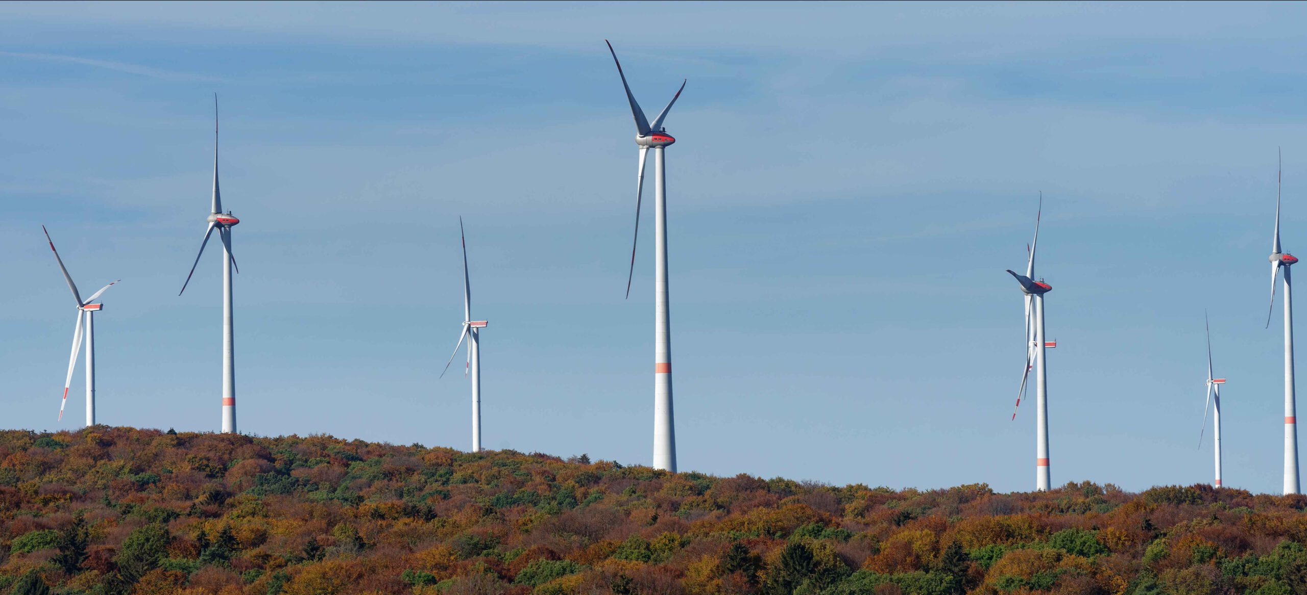 You are currently viewing Der NABU Wangen nimmt kritisch zum Ausbau der Windenergie in der Region Stellung
