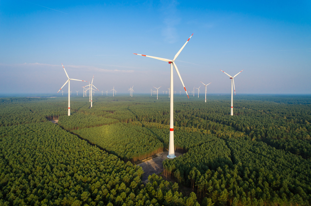 Read more about the article Mitgliederveranstaltung zum Windpark Altdorfer Wald